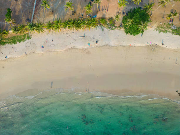 istock Tropical sea white sand beach aerial view summer 1495376566