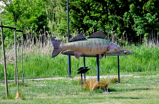 A close up on a figurine of a big lake fish made out of plastic, metal, and other materials standing in the middle of a public park, next to some shrubs, reeds, and other flora in Poland
