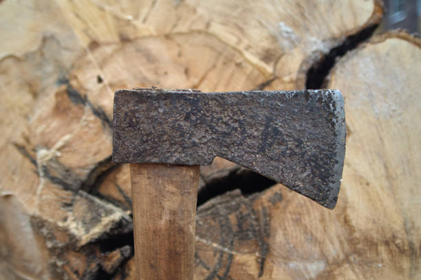 istock A woodcutter's axe in the background of a tree 1495381204