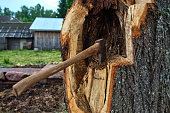 A woodcutter's axe in the background of a tree