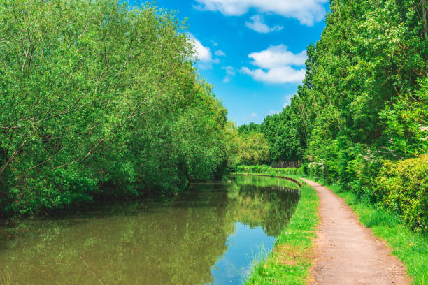 istock A beautiful scenic view of green trees alongside a river under a blue sky 1495382001
