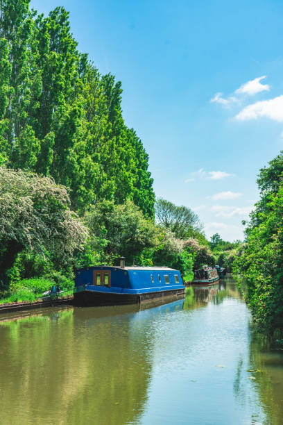 istock A beautiful scenic view of green trees alongside a river under a blue sky 1495382118