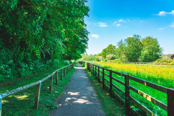 View of beautiful agricultural fields with clear blue sky in England