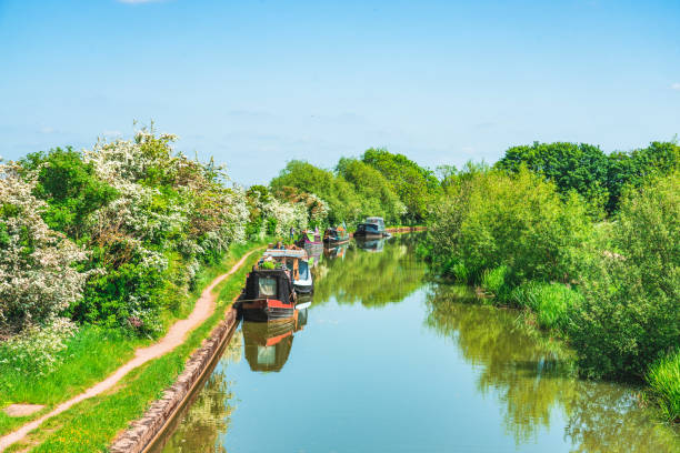 A beautiful scenic view of green trees alongside a river under a blue sky