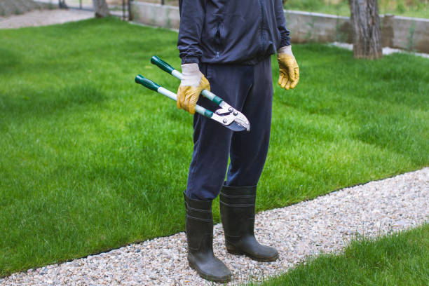 istock Man in rubber boots with the pruning shears working in the garden 1495382485