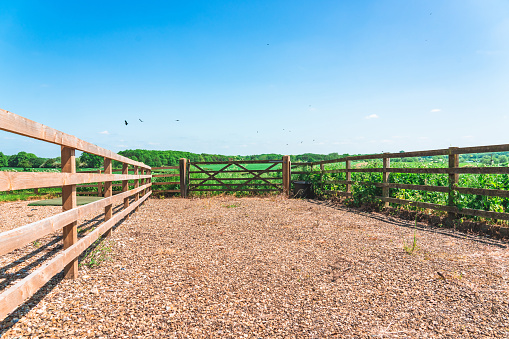 View of beautiful agricultural fields with clear blue sky in England