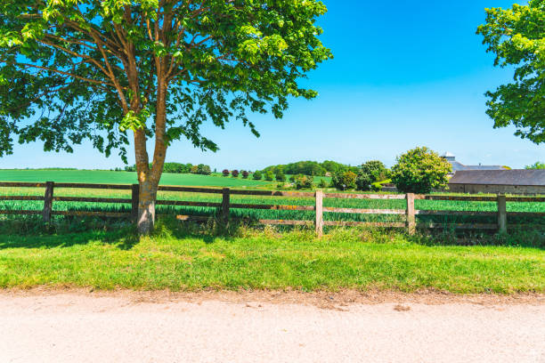View of beautiful agricultural fields with clear blue sky in England