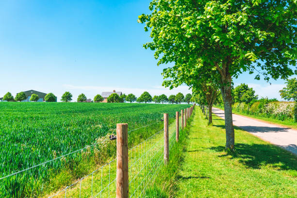 Barbed wire fence under blue sky.