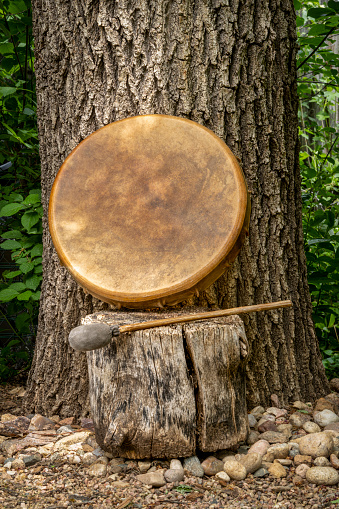 handmade, native American style, shaman frame drum covered by goat skin with a beater under an oak tree