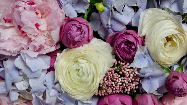 istock Bright colorful flower arrangement background 1495386413