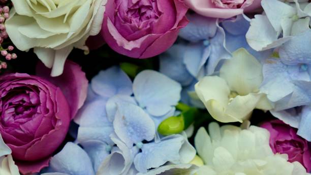 istock Bright colorful flower arrangement background 1495386535