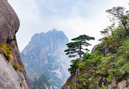 Natural scenery of Huangshan Scenic Area in Anhui Province