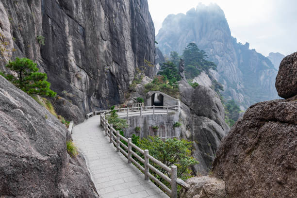 path in the forest path in the forest Huangshan huangshan mountains stock pictures, royalty-free photos & images
