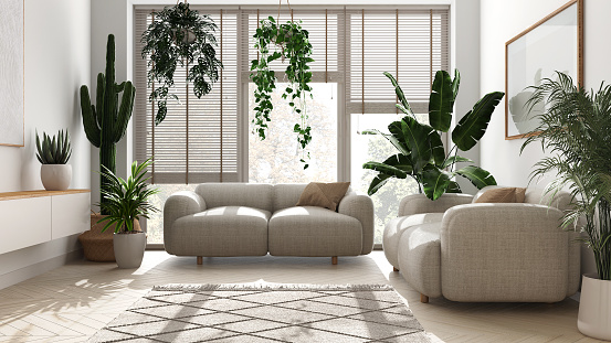 Home garden love. Minimalist contemporary living room interior design in white tones. Parquet, sofa and many house plants. Urban jungle, indoor biophilia idea