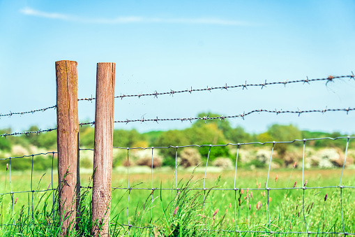 Barbed wire fence under blue sky.