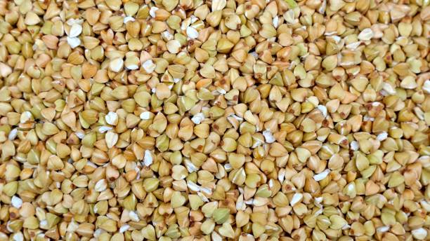 istock dry buckwheat background. buckwheat texture. 1495391250