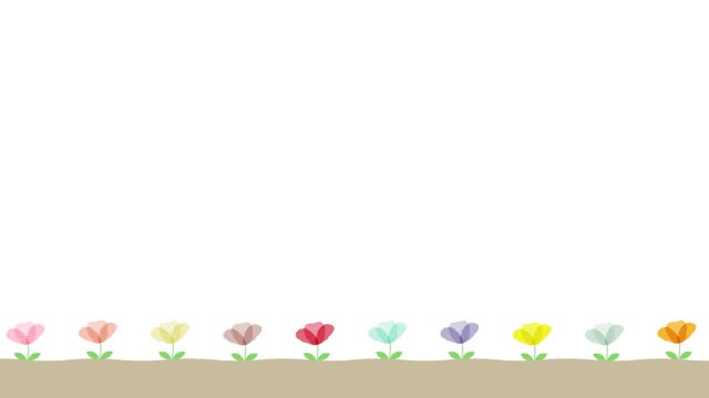 colorful flowers growing animation. simple background. blank space for text