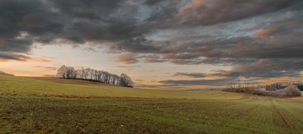 istock clouds above the grassy green field and trees with a sky background 1495397956