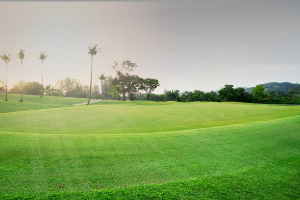istock beautiful golf course view, Golf Course with beautiful putting green, Fresh green grass on the golf course 1495398042