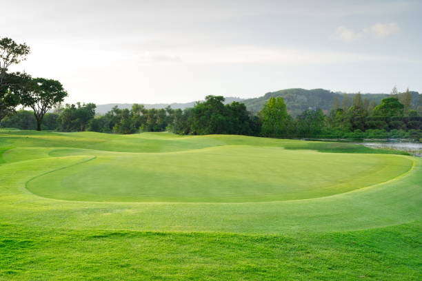 istock beautiful golf course view, Golf Course with beautiful putting green, Fresh green grass on the golf course 1495398070