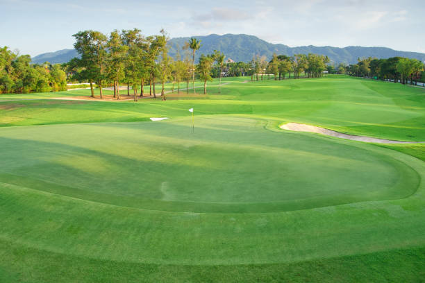 bela vista do campo de golfe, campo de golfe com belo putting green, grama verde fresca no campo de golfe - golf course golf sand trap beautiful - fotografias e filmes do acervo