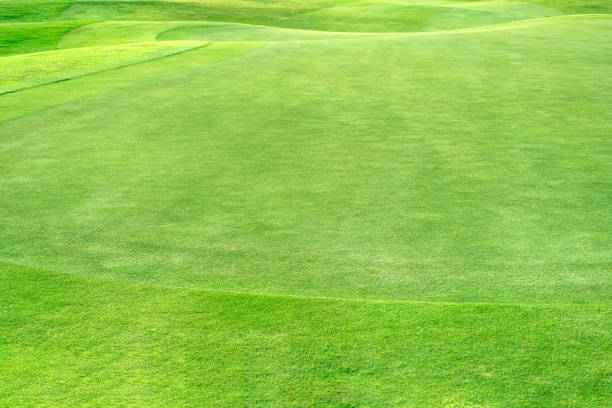 istock beautiful golf course view, Golf Course with beautiful putting green, Fresh green grass on the golf course 1495398127