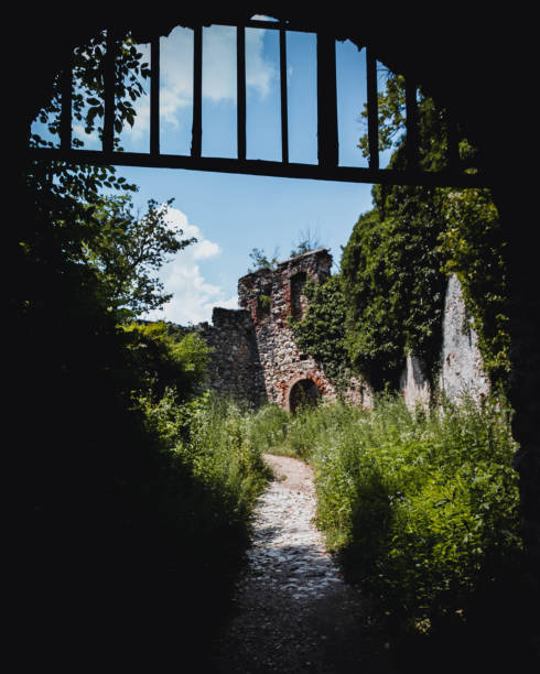 istock Holidays Croatia Havar 1495400388
