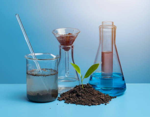 istock Glassware with soil samples on blue background,Soil test,Laboratory research 1495400567