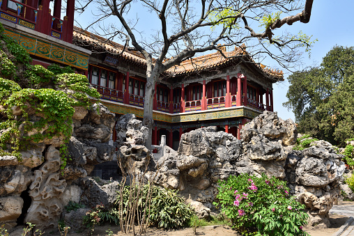 the Royal Garden in Forbidden City Beijing,China