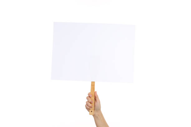 istock Hand holds protest sign, isolated on white background 1495411000