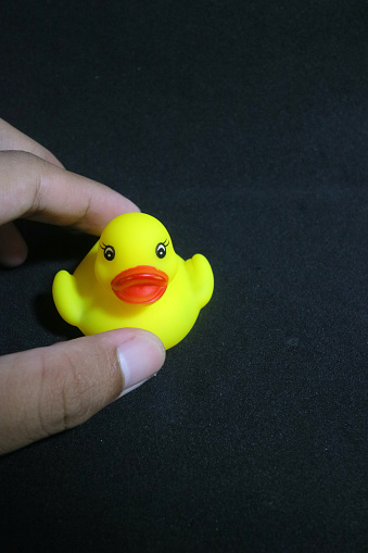 A rubber duck isolated on white.