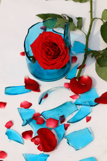 Beautiful red rose on broken mirror for concept of a broken relationship or marriage, divorce, or valentines day concept table top view on white background.