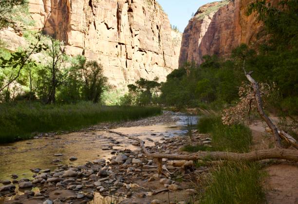 istock Zion National Park 1495421830
