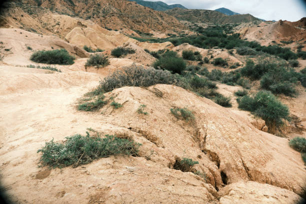istock Details of canyon surface 1495424757