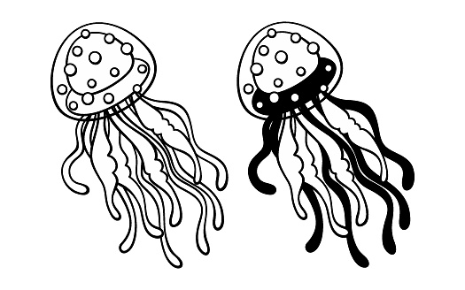 Jellyfish swimming underwater in sea. Hand drawn sketch of ocean animal. Vector black and white illustration of marine creature. Isolated clipart on white background.
