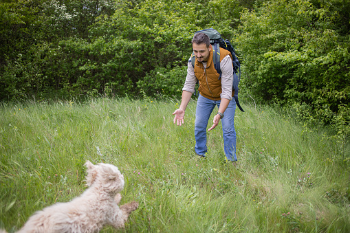 Young bearded man with backpack is hiking through the wonderful green meadow and forest. His dog is always with him, in every adventure.