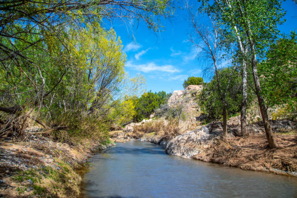 istock The Agua Fria River 1495430709
