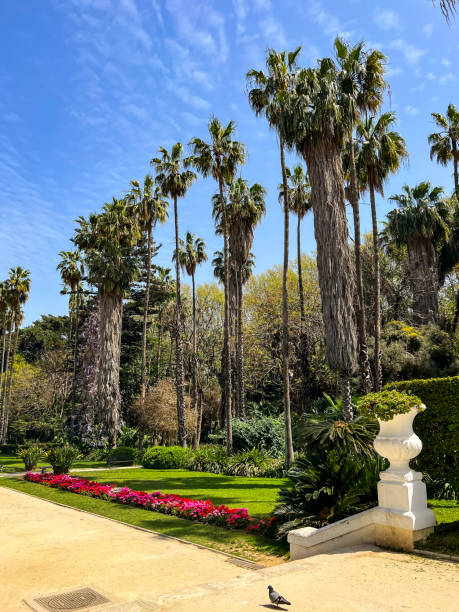 istock Palms in Jardin d'Essai du Hamma in Algiers 1495431926