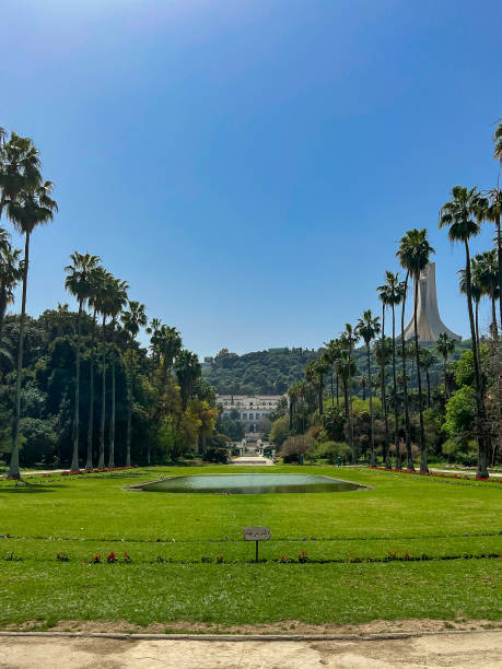 istock Jardin d'Essai du Hamma in Algiers 1495432045