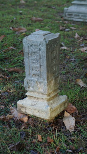 istock Ancient tombstones of aceh 1495432076