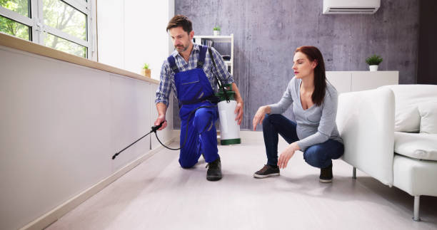 Exterminator Worker Spraying Insecticide Chemical