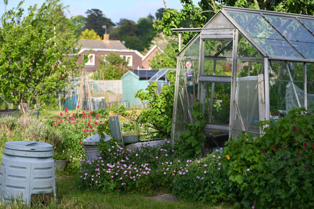 istock Allotment garden 1495432134