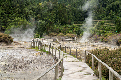Cooking traditional food in hot springs of the lake Furnas, steam venting at Lagoa das Furnas hot springs on Sao Miguel island, Azores, Portugal.