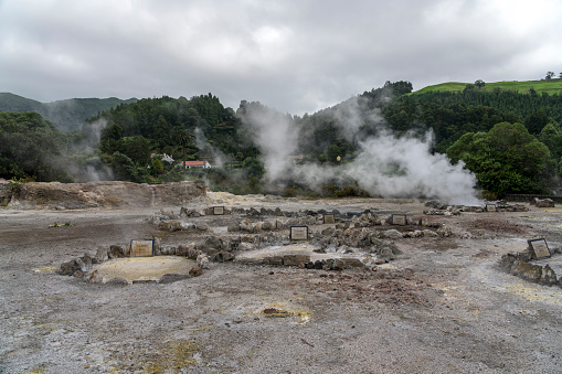 Very hot calderas,Steam venting, hot springs of the lake Furnas,steaming hot cozido stew cooking in calderas,  Sao Miguel, Azores.