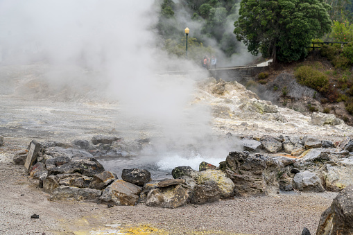 Very hot calderas,Steam venting, hot springs of the lake Furnas, Sao Miguel, Azores.