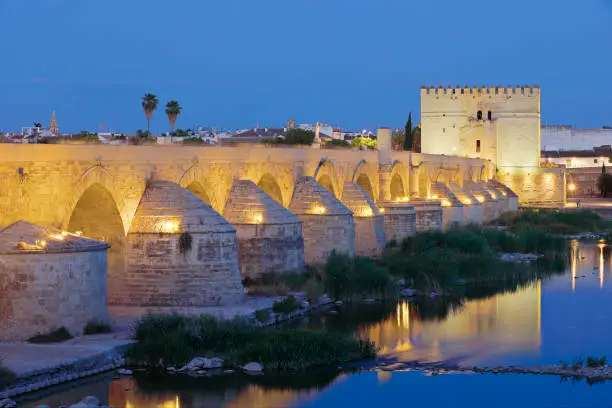 Night time view of the roman bridge (Cordoba, Spain).