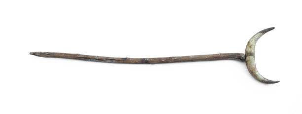 istock wooden staff with horn isolated on white background 1495436700