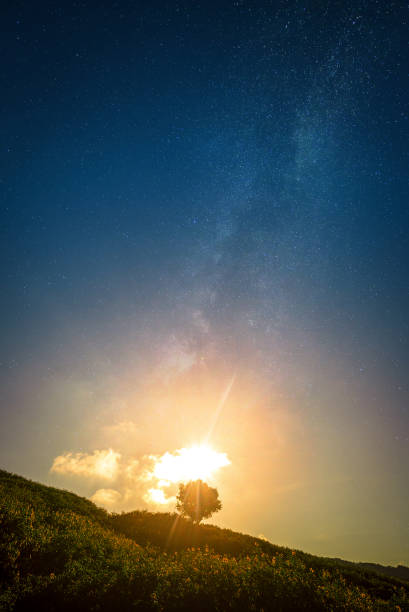 istock lonely tree on mountain at sunset  with milky way in dark blue sky background 1495440309
