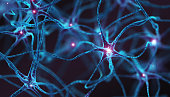 Neurons - Concept