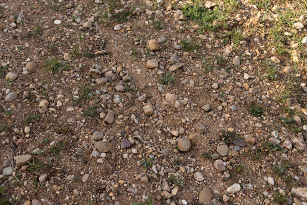 istock gravel field 1495441762